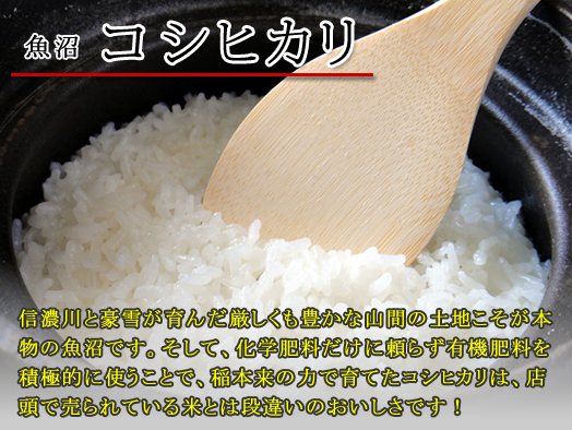 魚沼コシヒカリ